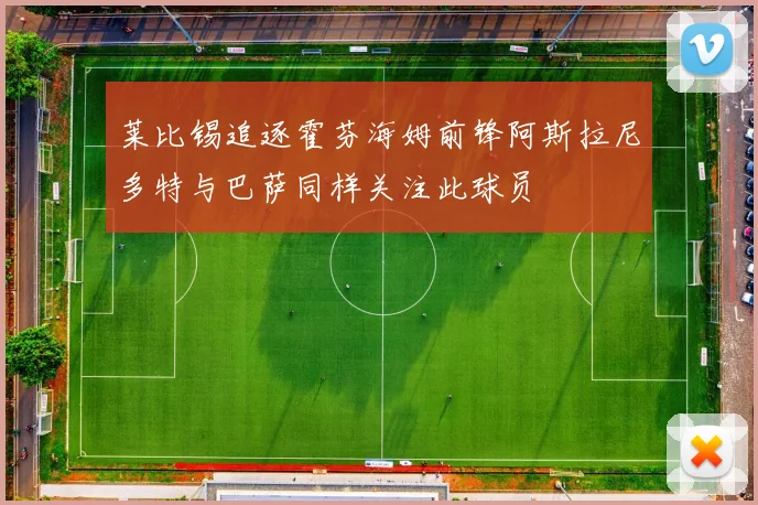 莱比锡追逐霍芬海姆前锋阿斯拉尼多特与巴萨同样关注此球员