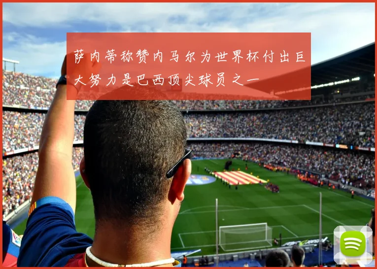 萨内蒂称赞内马尔为世界杯付出巨大努力是巴西顶尖球员之一